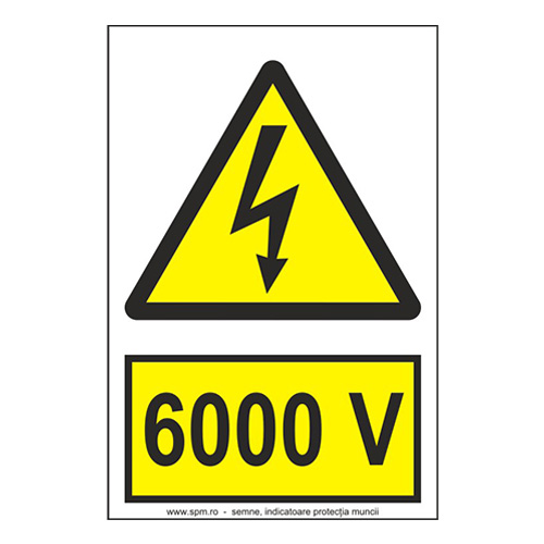 6000 V