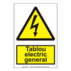 Tablou electric general