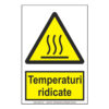 Temperaturi ridicate