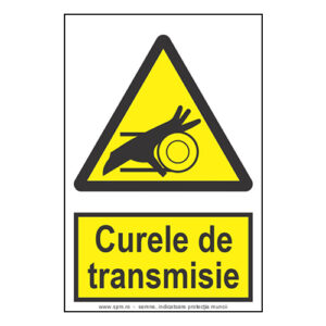 3786.jpg Curele de transmisie