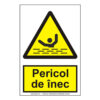Pericol de inec