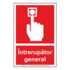 Intrerupator general
