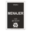 Deseu menajer 200301